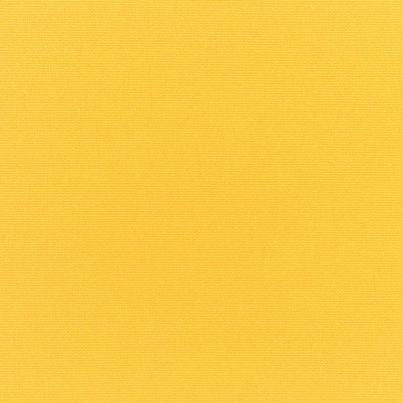 Bibliotheque Canvas Bumblebee